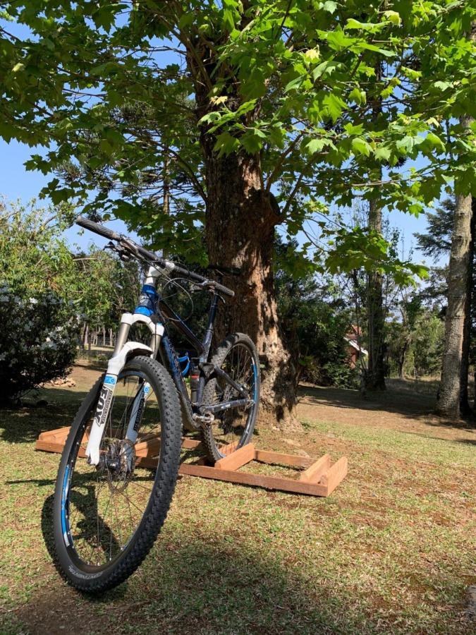 Chalet Chale Da Araucaria *