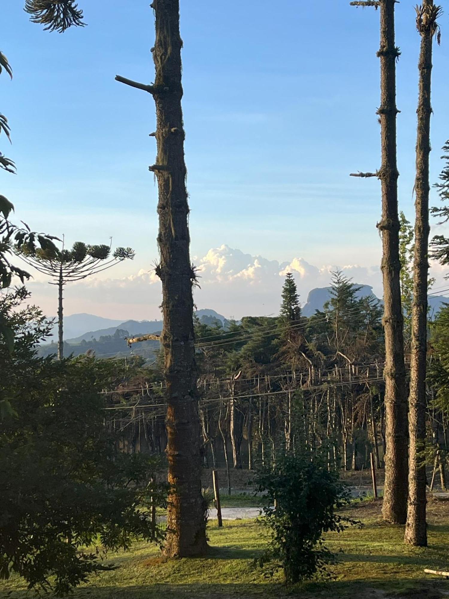 Chale Da Araucaria Campos do Jordao