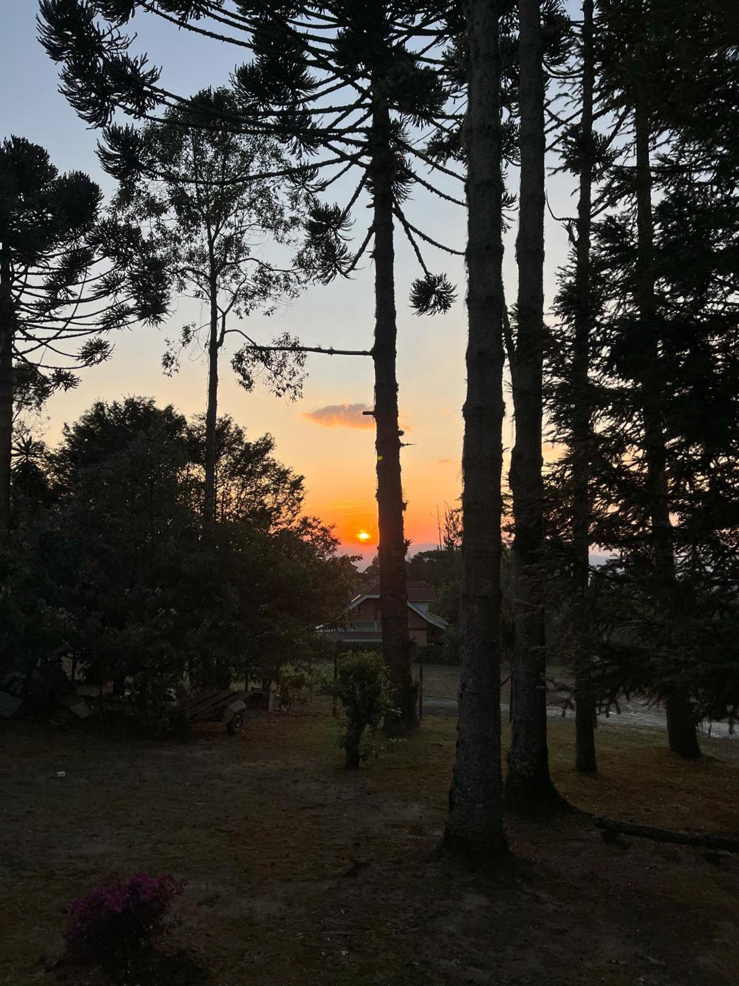Chalet Chale Da Araucaria