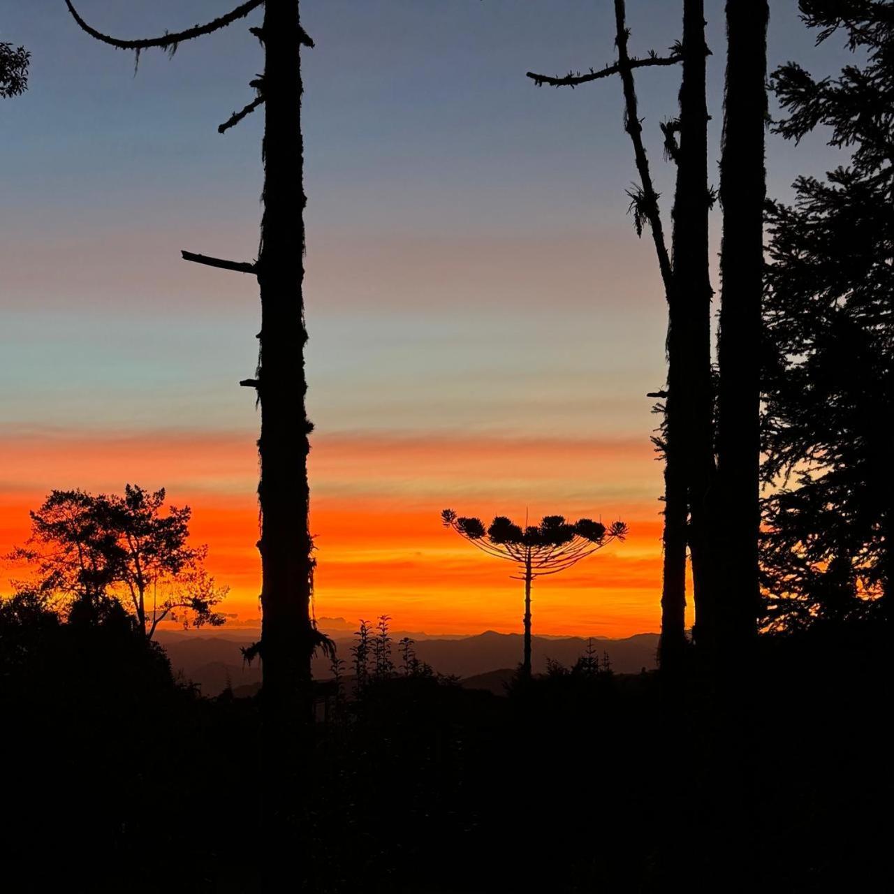 Da Araucária Chalé Campos do Jordão